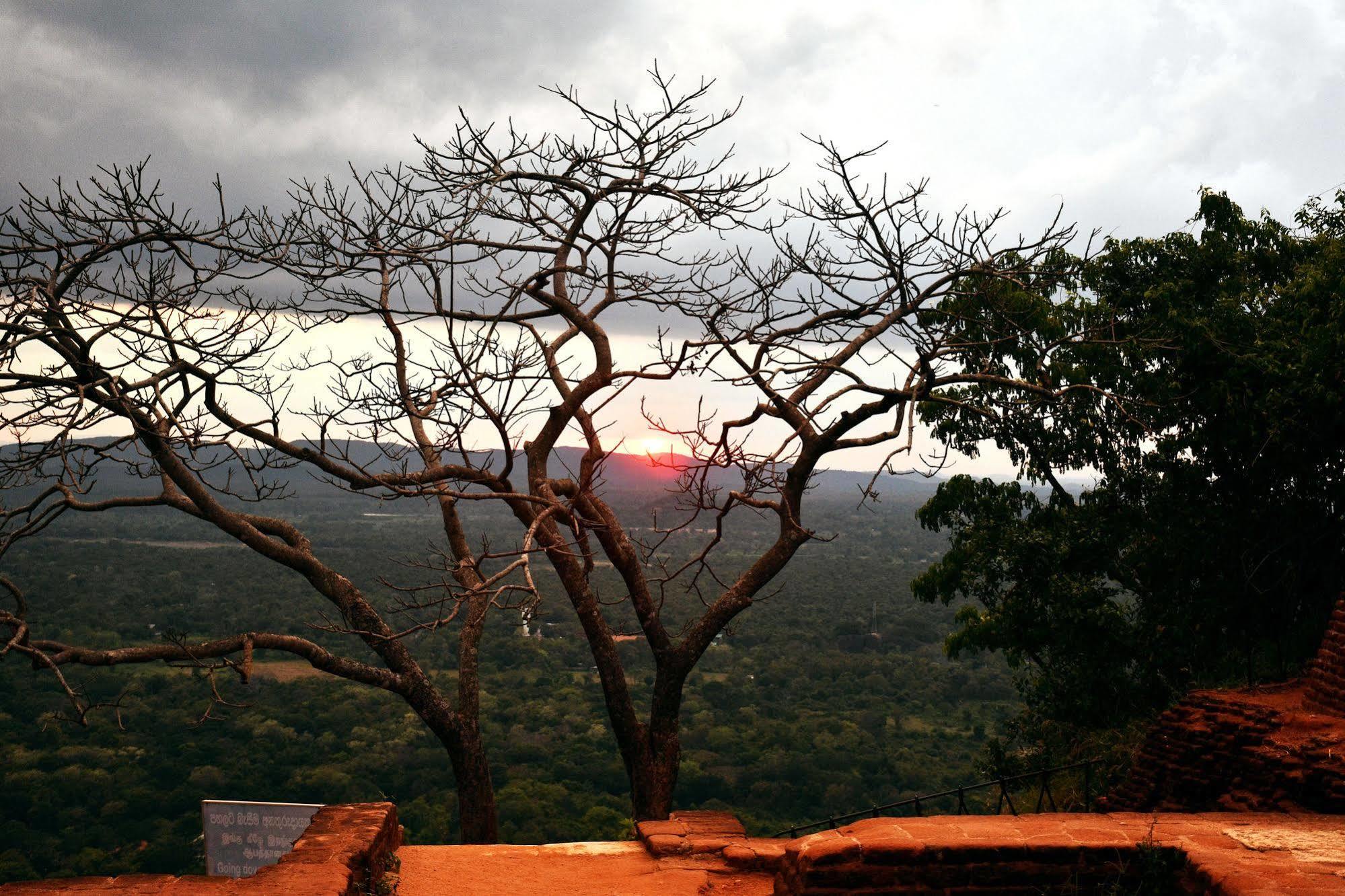 Cassandra Culture Resort Sigiriya Eksteriør billede